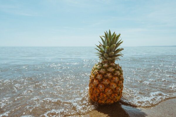 pineapple, beach, tropical-1834329.jpg