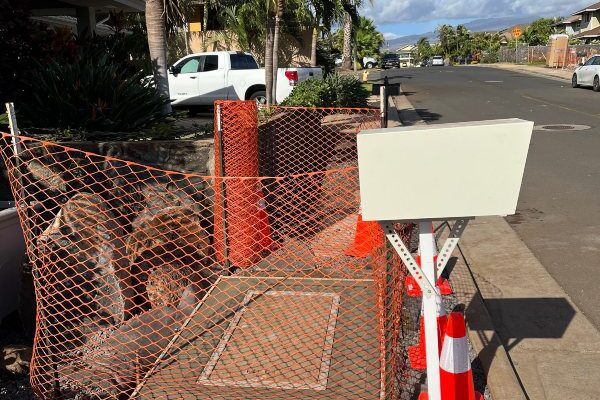 Traffic cones around Maui Electric meter box